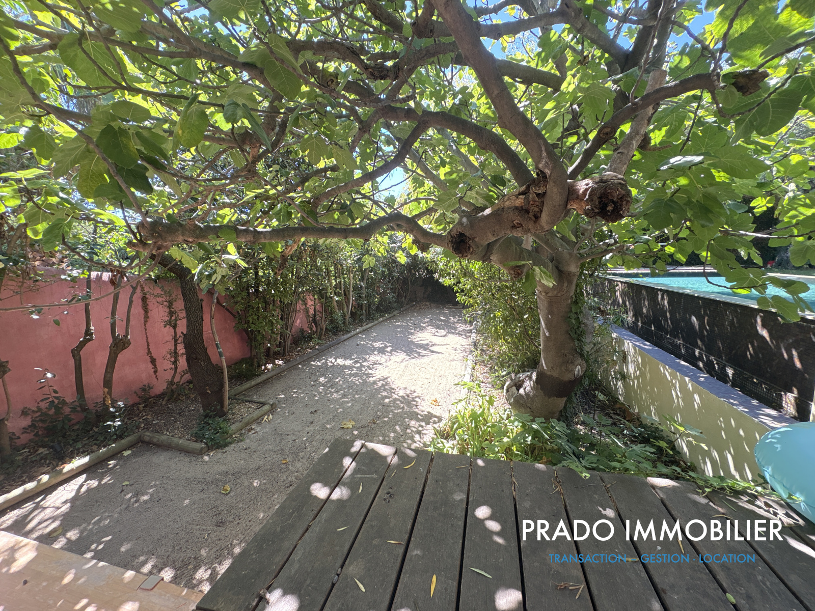 Image_, Propriete, Marseille, ref
                        :4465