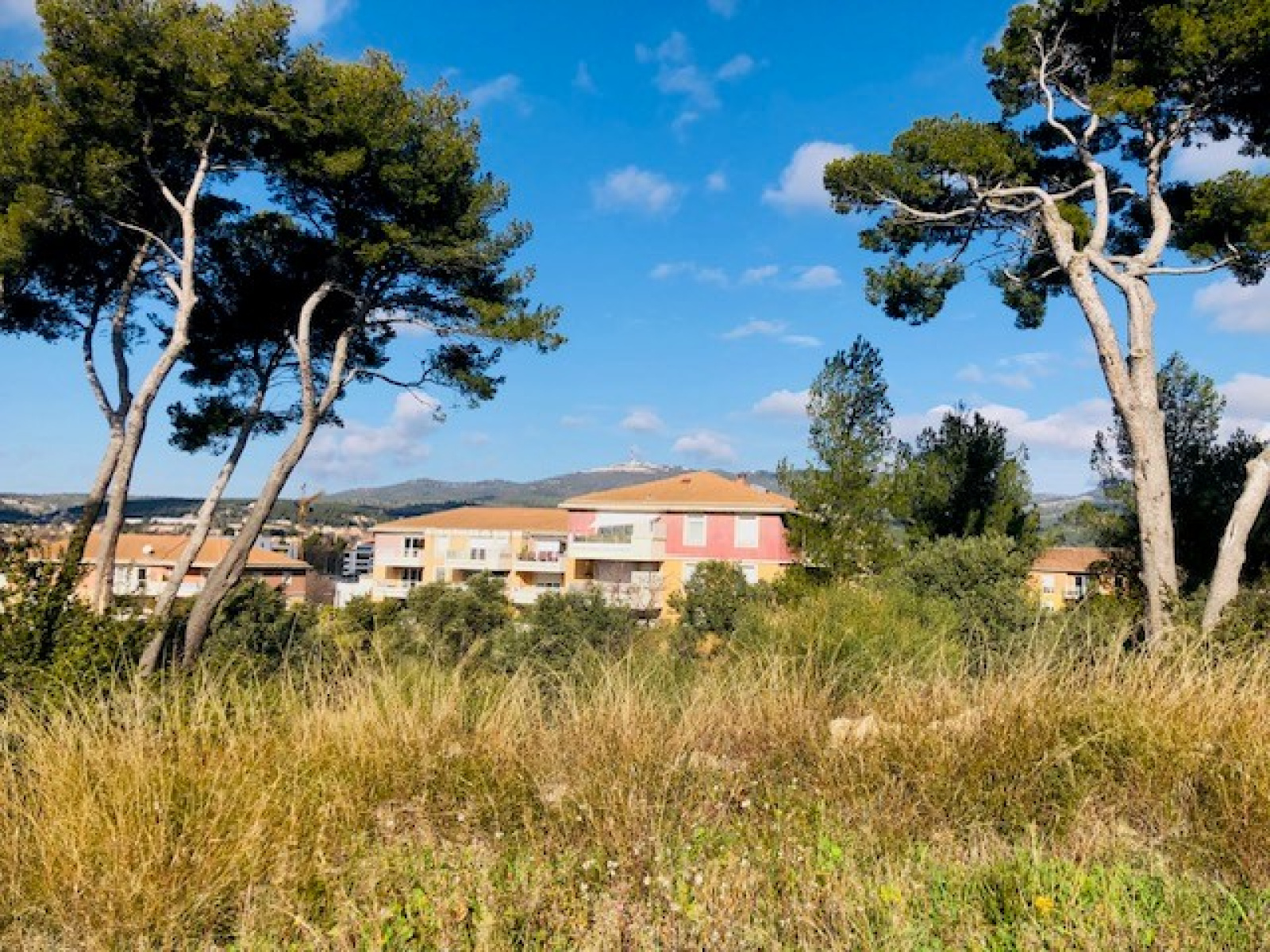 Image_, Appartement, Marseille, ref
                        :T4 Château Gombert