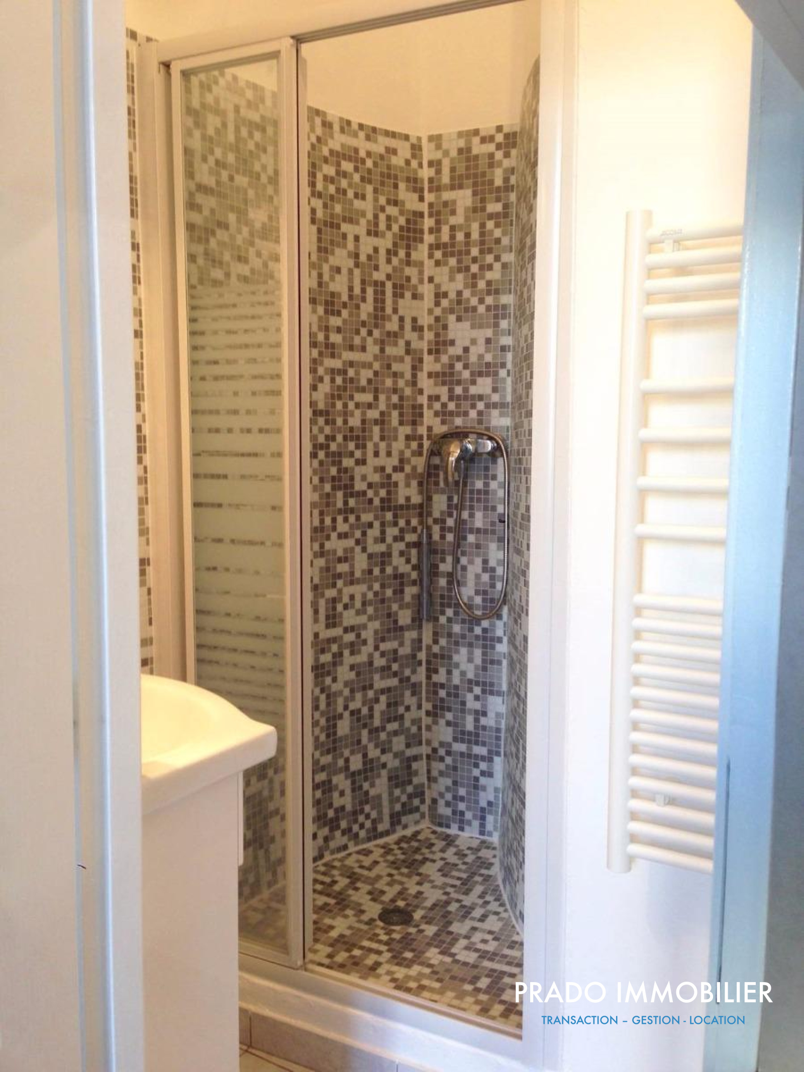 Image_, Appartement, Marseille, ref
                        :GES00720003-939